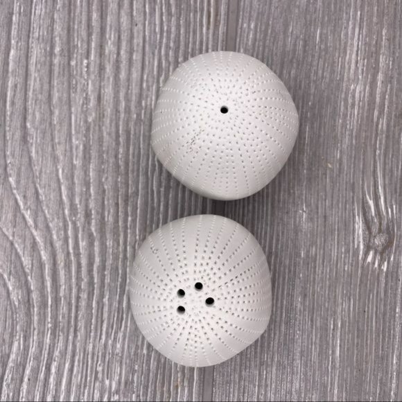 Ceramic sea urchin salt and pepper shaker set white ocean tropical - Picture 2 of 5